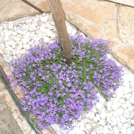 Mon Perin Castrum - Adriano Lägenhet Bale