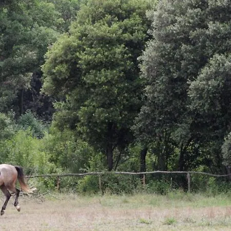 Apartman Mon Perin Castrum - Adriano
