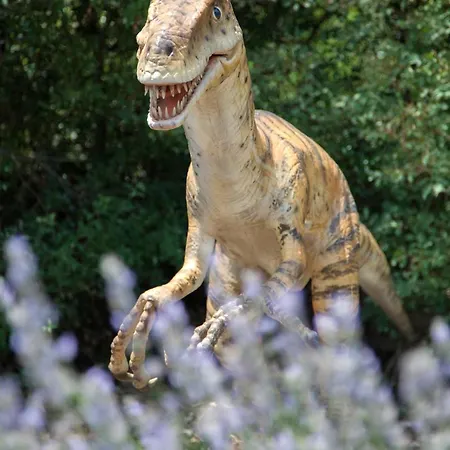 Mon Perin Castrum - Adriano Apartman Bale